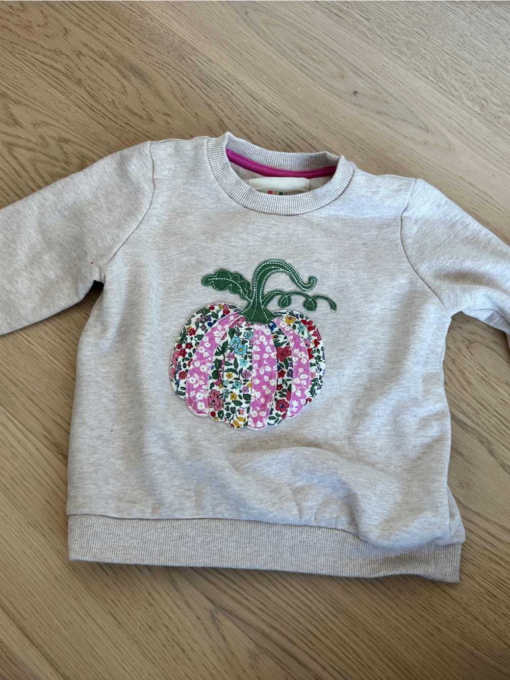 Mini Boden Cream Sweatshirt with Pink & Green Floral Pumpkin
